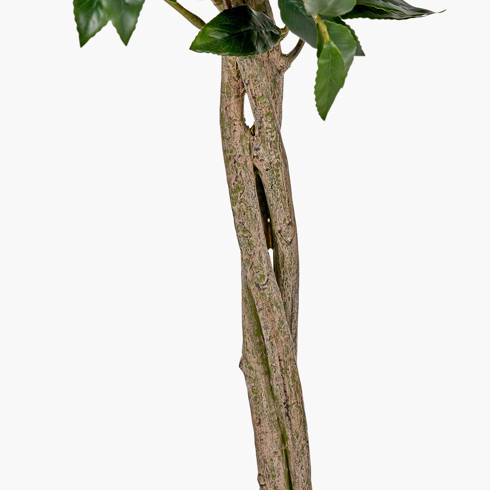 Artificial Bay Tree in Pot | Medium
